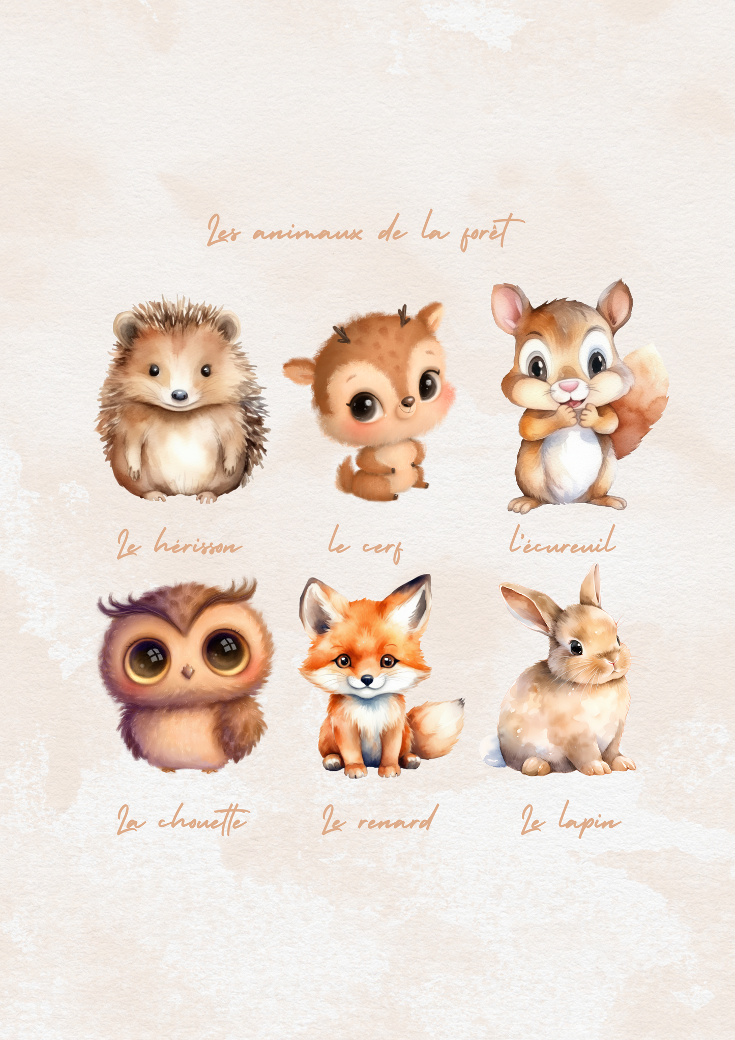 Affiche naissance « les animaux de la forêt »